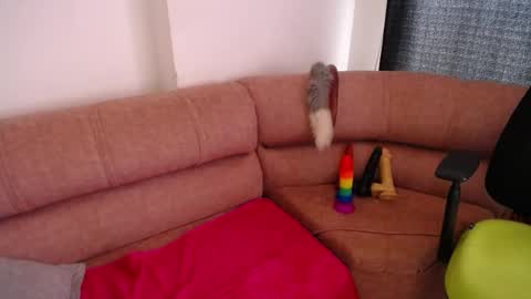 NINA online show from February 25, 5:19 pm