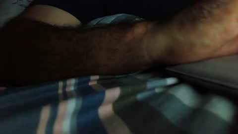 Hairy Arabian online show from August 1, 8:10 pm