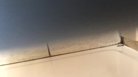 byrd2024 online show from March 9, 11:56 pm