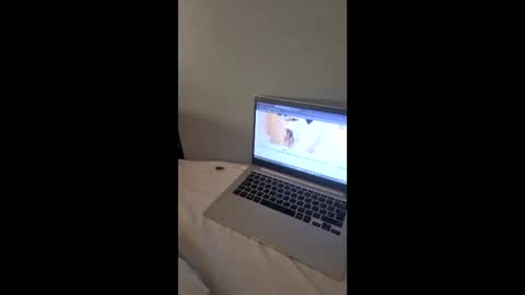 bzuciak online show from May 2, 12:22 pm