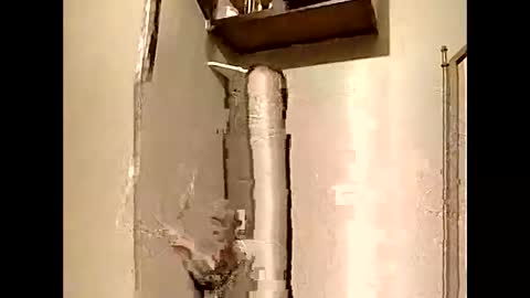 Southerncock online show from January 5, 12:31 pm