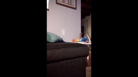 caliswangers online show from February 16, 10:57 am