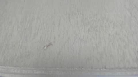 Camila  online show from June 25, 3:03 am