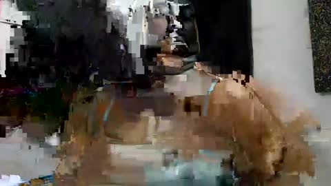 lucy online show from February 2, 2:17 am