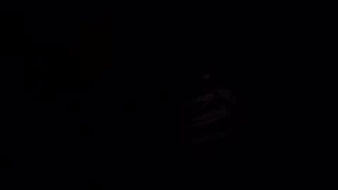 cappinrc8 online show from March 25, 6:31 am