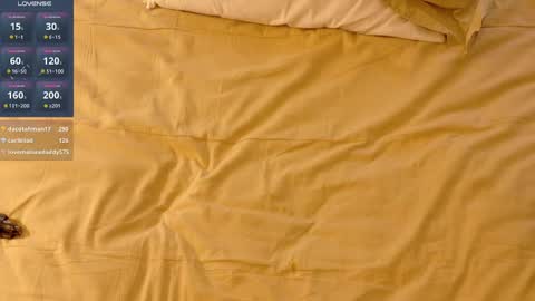 captain_flynt online show from January 19, 4:54 am