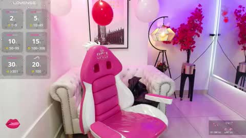 CAROLINA.  online show from February 11, 11:58 am