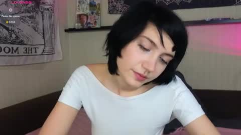 Carolina online show from July 24, 11:29 am