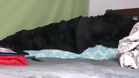 carolinayungin96 online show from November 6, 12:24 am