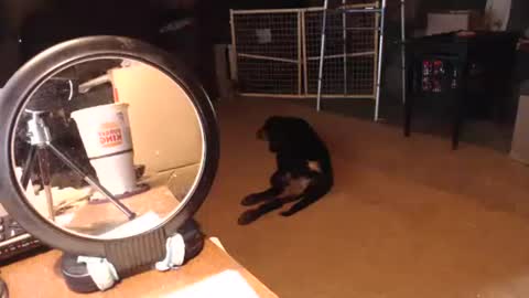 Snapshot of cat9paw chatting on September 11, 6:31 pm cat online show from September 11, 6:31 pm