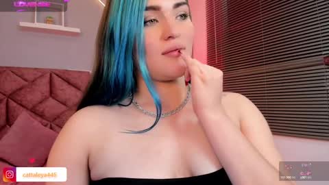  Catta online show from February 7, 6:14 am