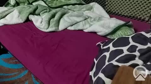 cezar online show from February 23, 8:33 pm