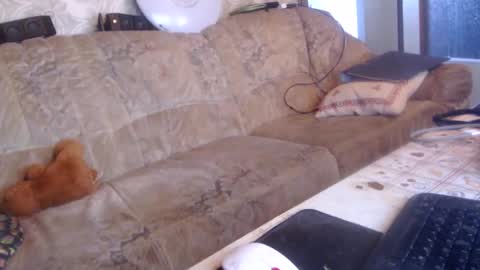 chacoa online show from May 24, 8:43 am