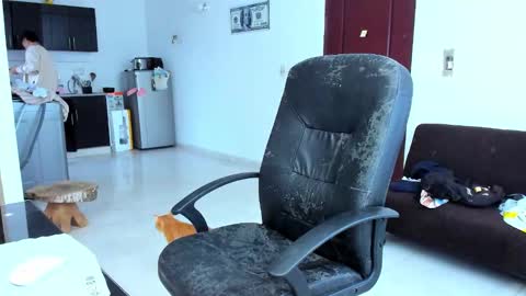 Kenji online show from March 26, 11:26 am