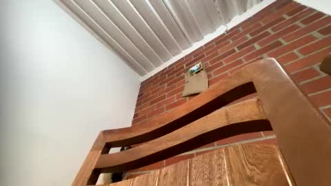    online show from January 18, 7:12 pm