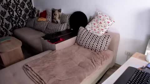 Charlotte Diamonds online show from February 28, 6:45 pm