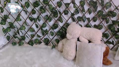 charly_evans60 online show from February 27, 10:09 pm