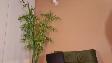 cherrycurl_ online show from November 25, 5:01 pm