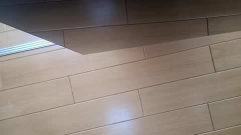 chipa69 online show from April 23, 3:02 pm