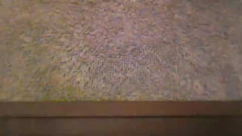 chuckyducky69 online show from December 3, 10:23 pm