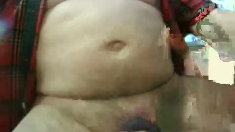 Circus Bear online show from April 20, 2:31 pm