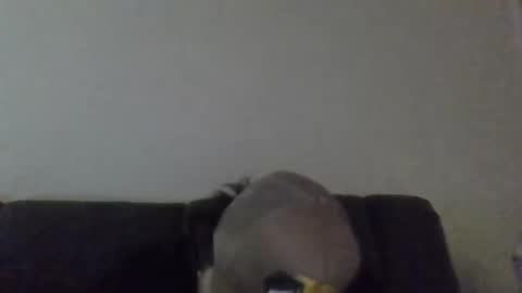 tallhungandcloudy online show from February 24, 9:12 am