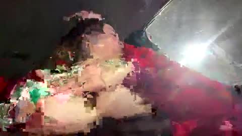 coconutbasil online show from February 5, 5:20 pm