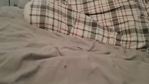 Snapshot of collegecannon chatting on February 1, 6:21 am collegecannon online show from February 1, 6:21 am