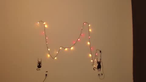 Amber online show from December 23, 3:02 am