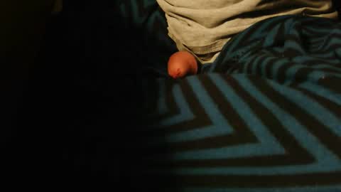 couple4bdsm20 online show from April 12, 7:56 am