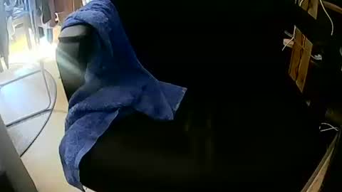 coyote017 online show from October 4, 12:03 pm