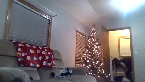 craveitoften online show from December 26, 1:40 am