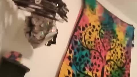 creamydilf11 online show from October 6, 3:24 am