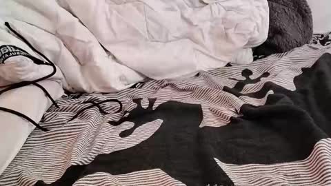 Snapshot of cum_boy84 chatting on October 4, 7:00 pm cum_boy84 online show from October 4, 7:00 pm