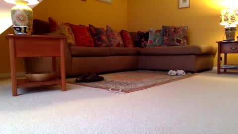 cumonherguys online show from November 7, 8:39 am