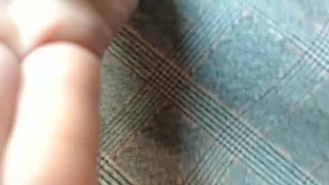 Im Lee. Say Hey Im very social. online show from April 25, 10:28 am