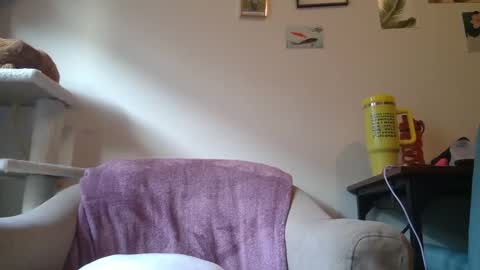 Cate online show from January 21, 9:25 pm