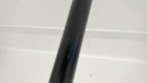 Ivy online show from April 21, 2:51 am