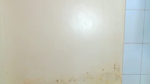 tee online show from October 12, 1:53 am