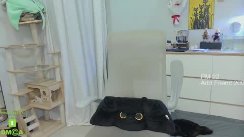 Daisy online show from April 22, 9:16 am