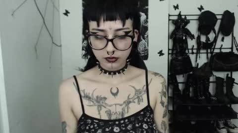 dakota online show from October 24, 4:24 am