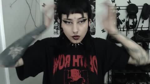 dakota online show from November 6, 11:35 am