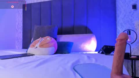 Dana online show from November 11, 5:04 pm