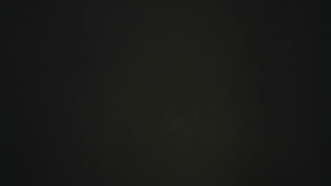 dantee_1_ online show from December 14, 10:21 am