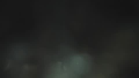 dantee_1_ online show from December 21, 11:27 am