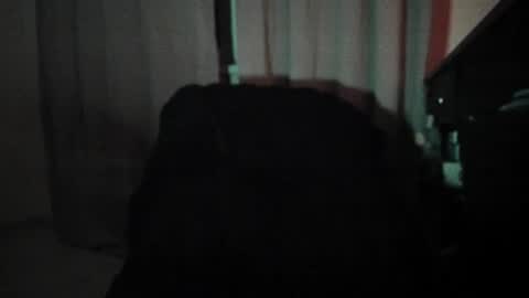 dave or nate online show from November 12, 1:08 am