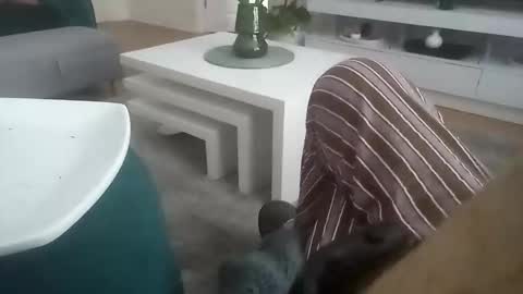 davf76 online show from April 21, 7:48 am