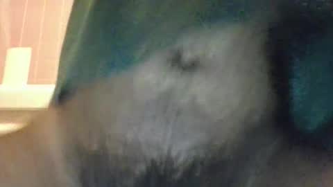 David online show from March 13, 4:10 pm