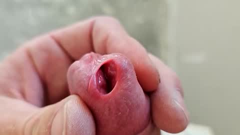 ddstyler2 online show from October 1, 9:08 am