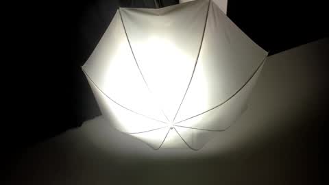 DEIVY online show from February 14, 8:31 am